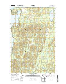 2014 Map of Dickey Lake, 2014 Print