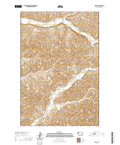 2020 Map of Dusty, 2020 Print