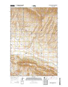 2013 Map of Elephant Mountain, 2013 Print