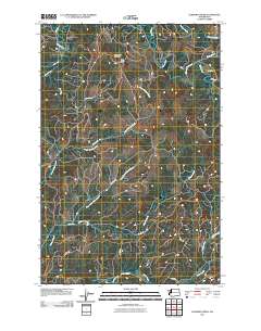 2011 Map of Elkhorn Creek, 2011 Print