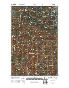 2011 Map of Ellis Mountain, 2011 Print