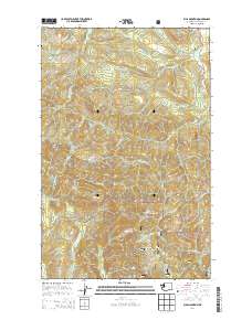 2014 Map of Ellis Mountain, 2014 Print