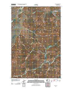 2011 Map of Ewan, 2011 Print
