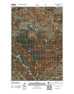 2011 Map of Fairview Ridge, 2011 Print