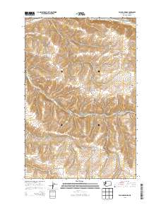 2013 Map of Falling Springs, 2013 Print
