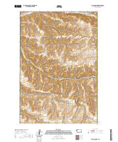 2020 Map of Falling Springs, 2020 Print