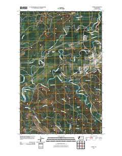 2011 Map of Forks, 2011 Print