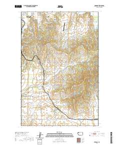 2020 Map of Freeman, 2020 Print