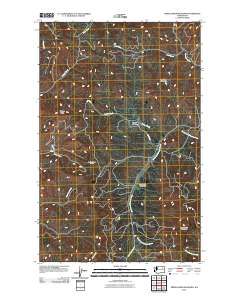 2011 Map of Friedlander Meadows, 2011 Print