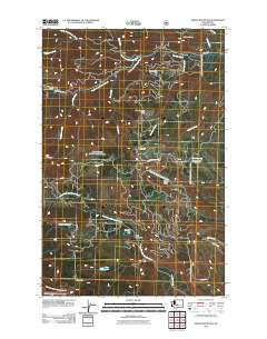 2011 Map of Frost Mountain, 2011 Print