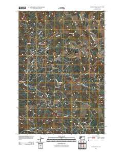 2011 Map of Georges Peak, 2011 Print