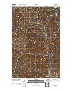 2011 Map of Gold Mountain, 2011 Print