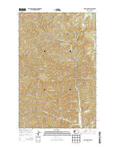 2014 Map of Gold Mountain, 2014 Print