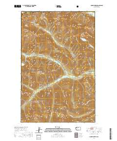 2020 Map of Goode Mountain, 2020 Print