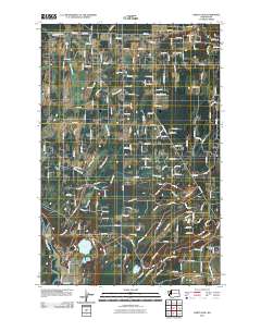 2011 Map of Harts Lake, 2011 Print