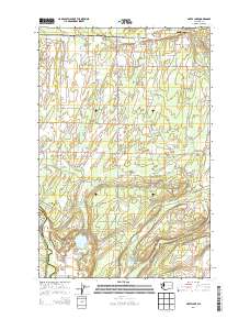 2013 Map of Harts Lake, 2013 Print
