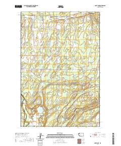 2020 Map of Harts Lake, 2020 Print