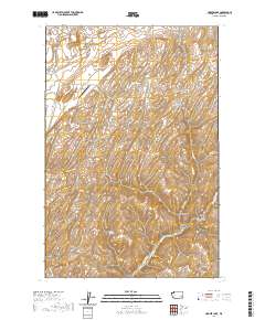 2020 Map of Hooper Lake, 2020 Print
