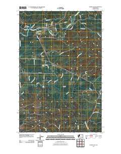 2011 Map of Humptulips, 2011 Print