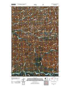 2011 Map of Indian Pass, 2011 Print