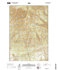 2020 Map of Indian Rock, 2020 Print