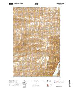 2020 Map of Jameson Lake SE, 2020 Print