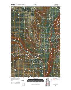 2011 Map of Jungle Butte, 2011 Print