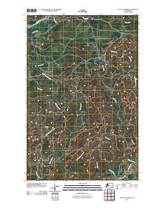 2011 Map of Kalaloch Ridge, 2011 Print