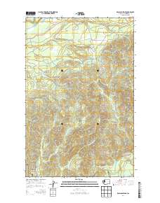 2014 Map of Kalaloch Ridge, 2014 Print