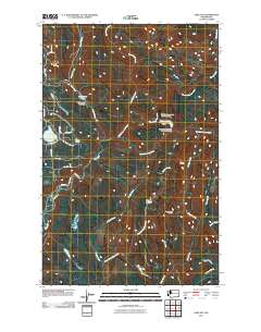 2011 Map of Lake Joy, 2011 Print