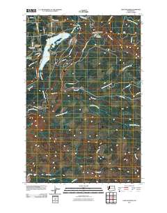 2011 Map of Lake Kapowsin, 2011 Print