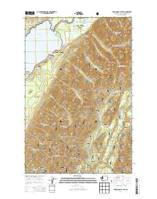 2014 Map of Lake Quinault East, 2014 Print