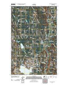 2011 Map of Lake Stevens, 2011 Print