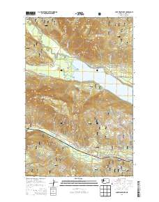 2014 Map of Lake Wenatchee, 2014 Print