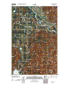 2011 Map of Lawrence, 2011 Print