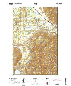 2020 Map of Lawrence, 2020 Print