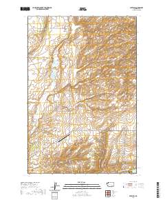 2020 Map of Levey SW, 2020 Print