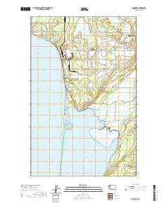 2020 Map of Lummi Bay, 2020 Print