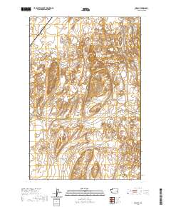 2020 Map of Macall, 2020 Print