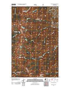 2011 Map of Martin Peak, 2011 Print