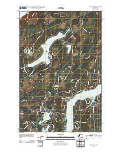 2011 Map of Mason Lake, 2011 Print