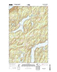 2014 Map of Mason Lake, 2014 Print