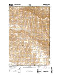 2013 Map of McDonald Spring, 2013 Print