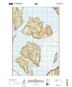 2020 Map of McNeil Island, 2020 Print