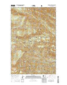 2014 Map of Meadow Mountain, 2014 Print