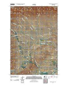 2011 Map of Medicine Valley, 2011 Print