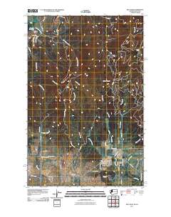 2011 Map of Mica Peak, 2011 Print