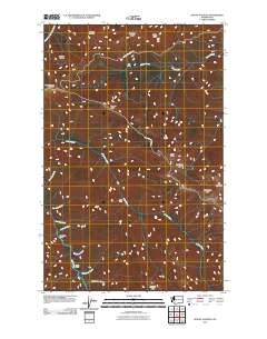 2011 Map of Mount Angeles, 2011 Print