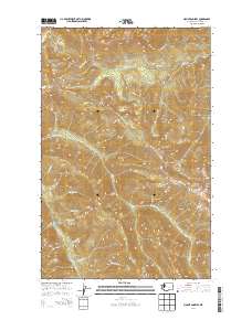 2014 Map of Mount Angeles, 2014 Print