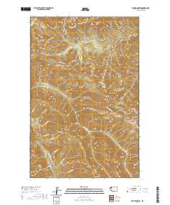 2020 Map of Mount Angeles, 2020 Print